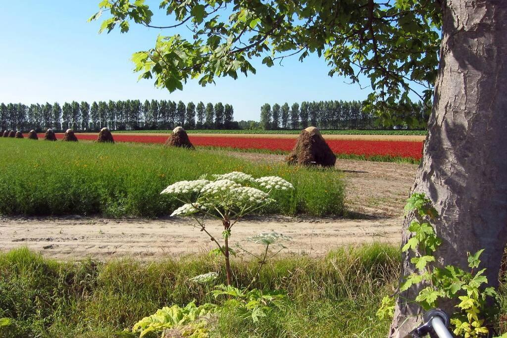 Logeren Op De Thoolse Parel Vakantiehuis Stavenisse المظهر الخارجي الصورة